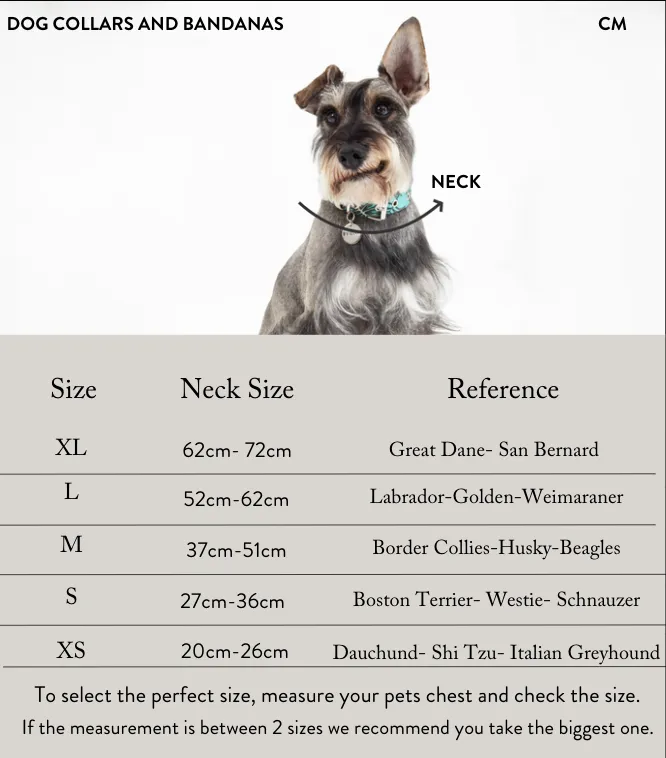 Bandana Abstract City Azul